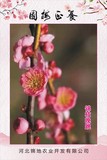 锦枝晚桃