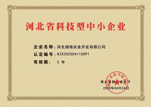 河北省科技中小企业证书