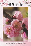 武藏野