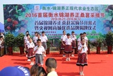 2016采摘节12.jpg