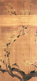 《烟笼玉树图》 明代 陈录