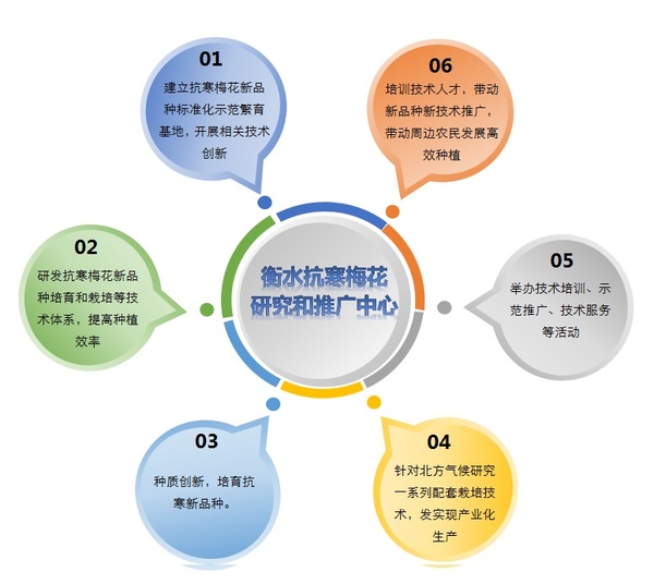 梅花中心01大.jpg
